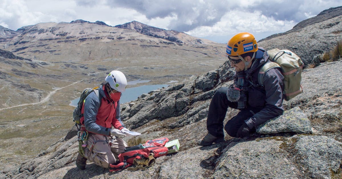 光之守望辅助- 鲸哇APP详情下载教程