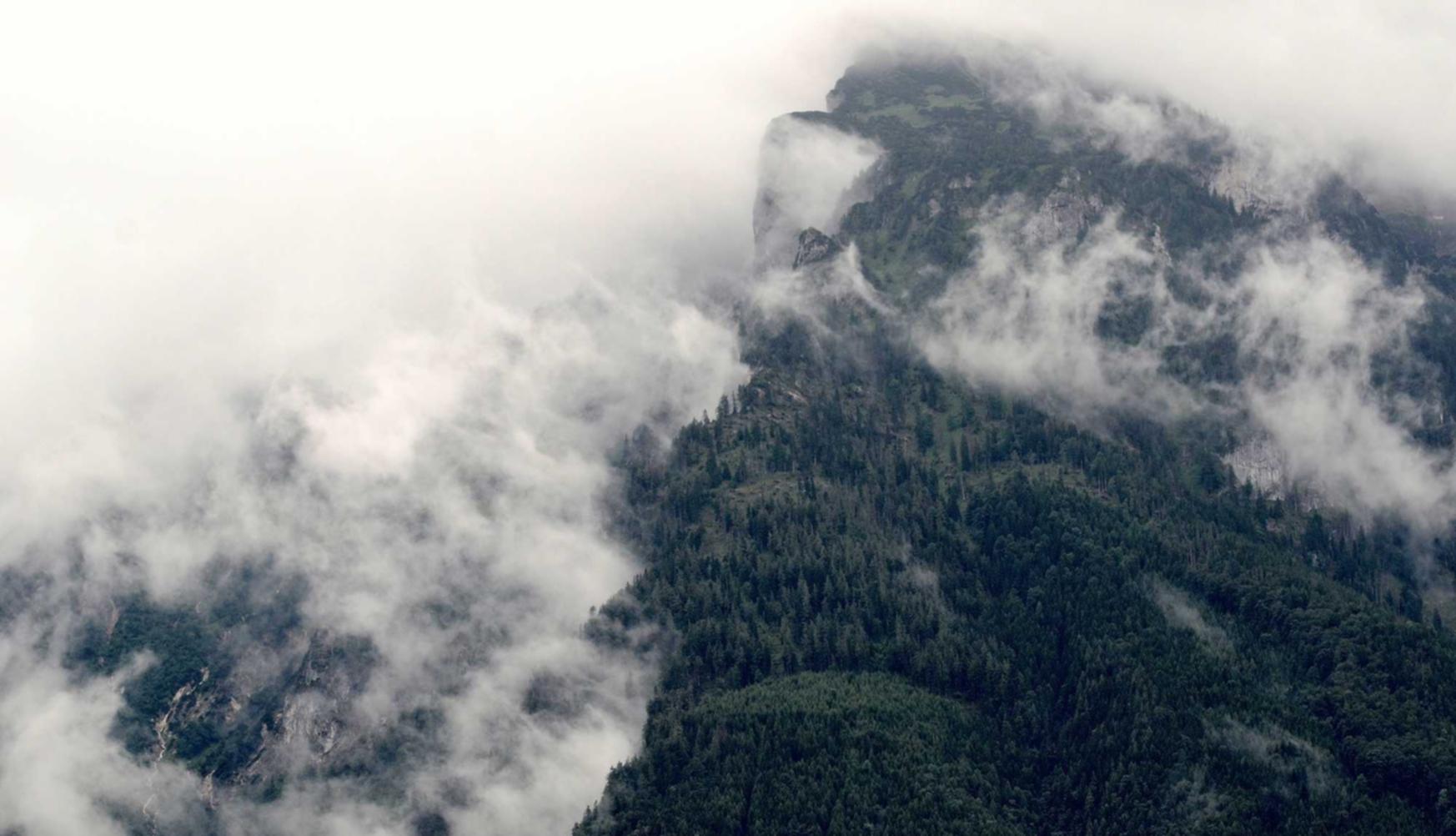 tcp攻击|如何使用人脸识别技术来保护您的网络安全