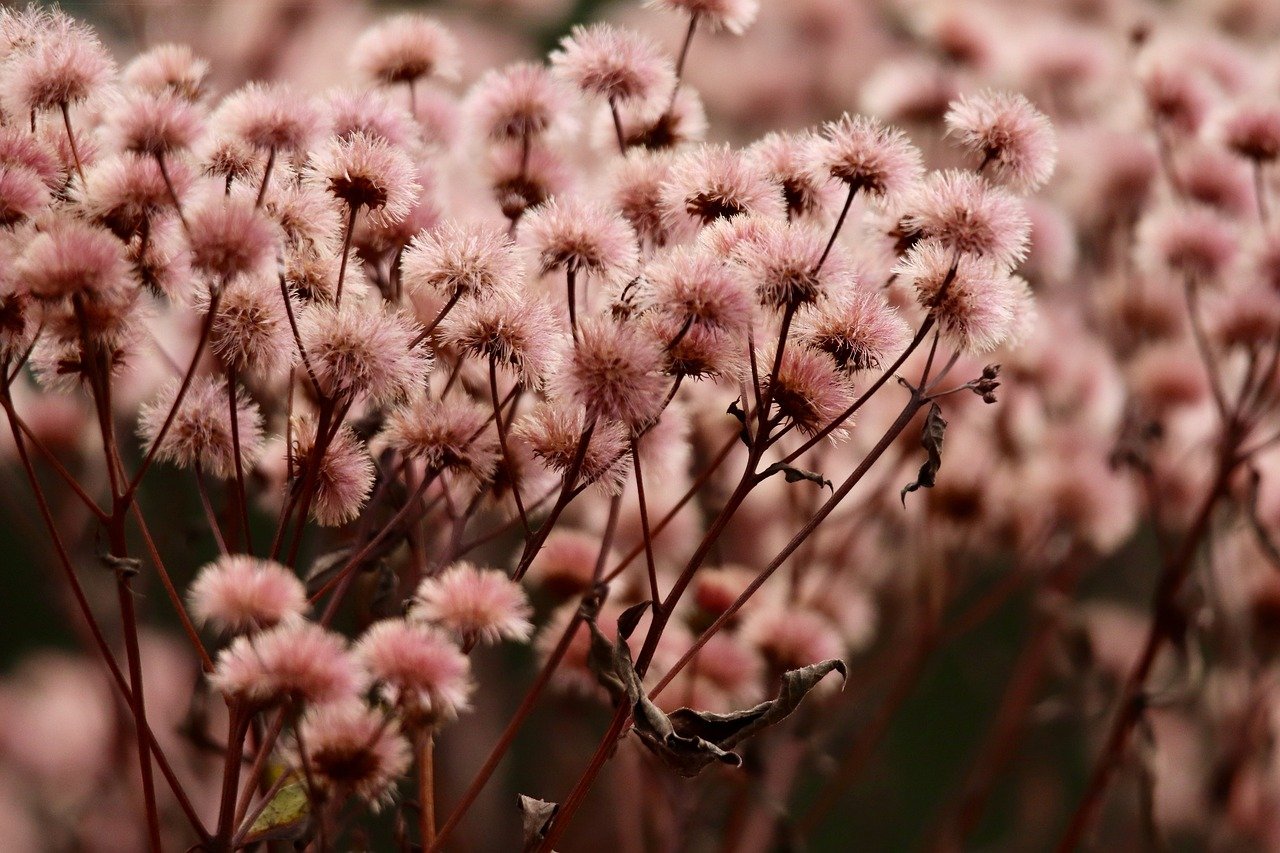 如何在不同游戏中开发不同类型的技术支持辅助 