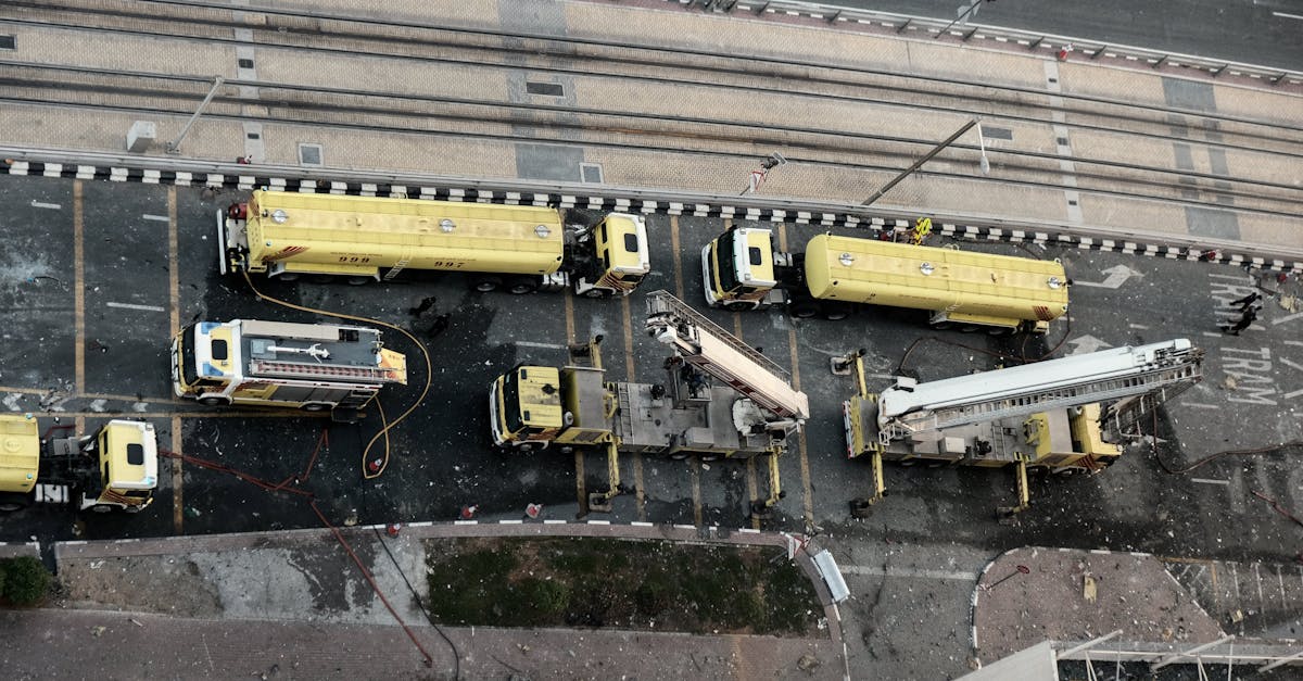 WX老号发卡网：盒马app 详情下载教程