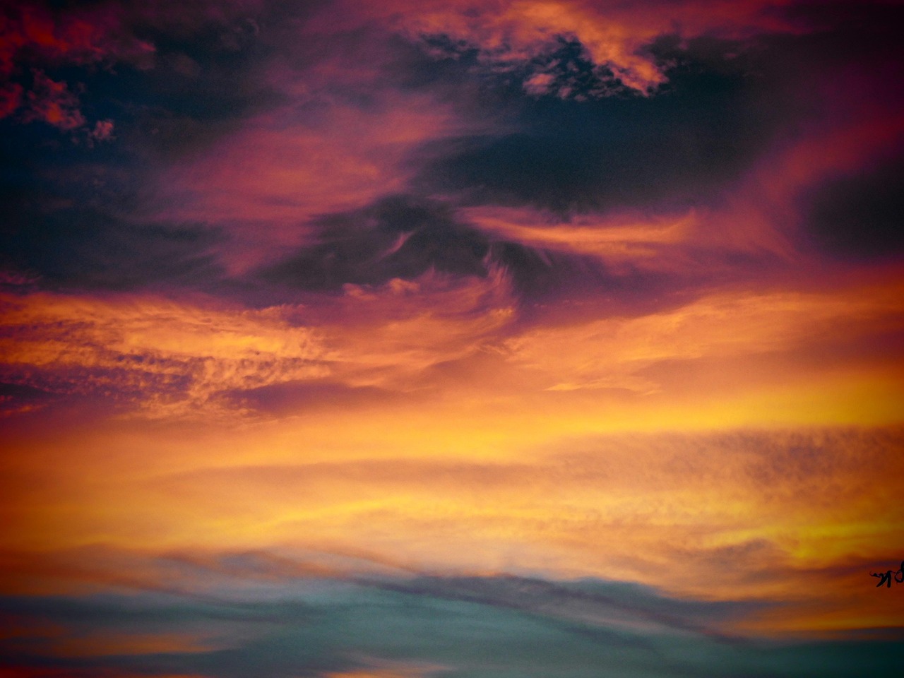 蓝猫移动实名账号：实名账号的公民权利