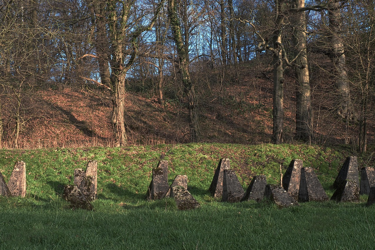 金洋5The Role of Customer Reviews in Your Marketing Strategy